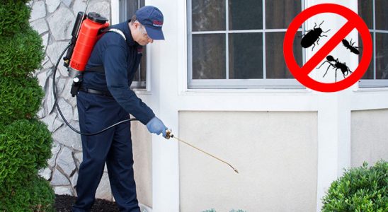 Sandıklı Hamam Böceği İlaçlama böcek ilaçlama ve haşere kontrolü — ilaclama-tr.com